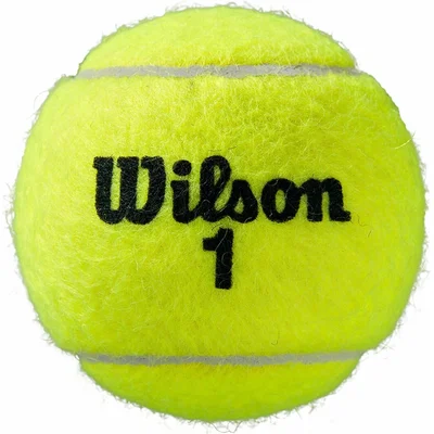 Wilson Roland Garros All Court 4 ks